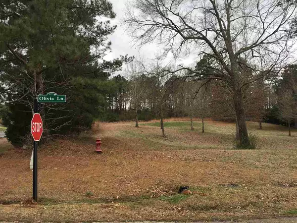 Terry, MS 39170,0 Olivia Lane #1