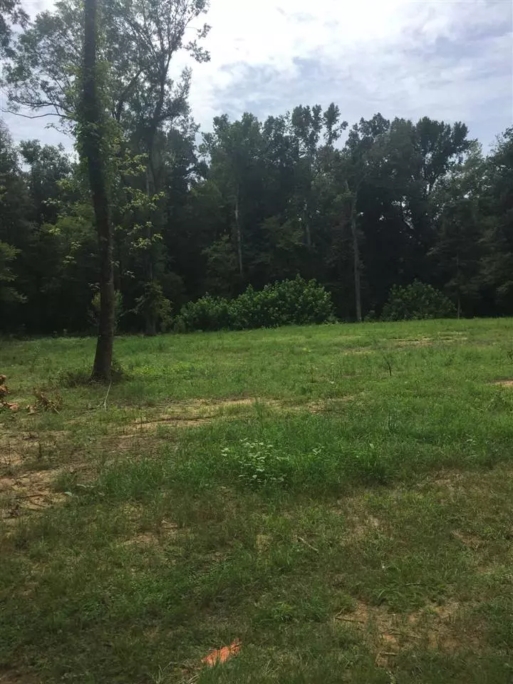 Ridgeland, MS 39157,0 Bridgewater Bend #Lot 19 Bridgewater 12B