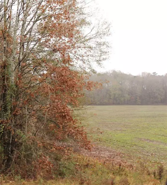 5164 Highway 18 Highway, Hermanville, MS 39086