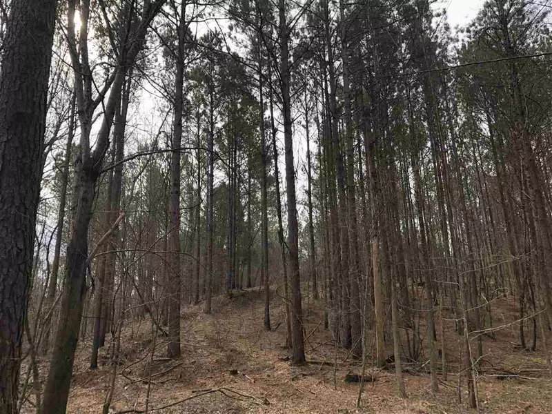 0 Cr 217, Water Valley, MS 38965