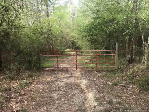 Fayette, MS 39069,1900 0