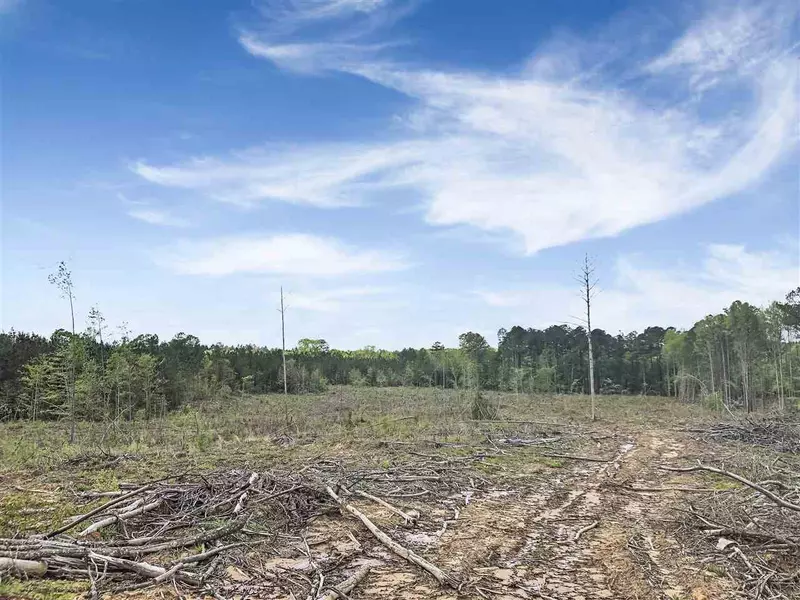 4 Rocky Point Road, Carthage, MS 39051