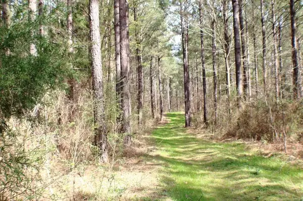 Camden, MS 39045,1 Virgin Mary Road