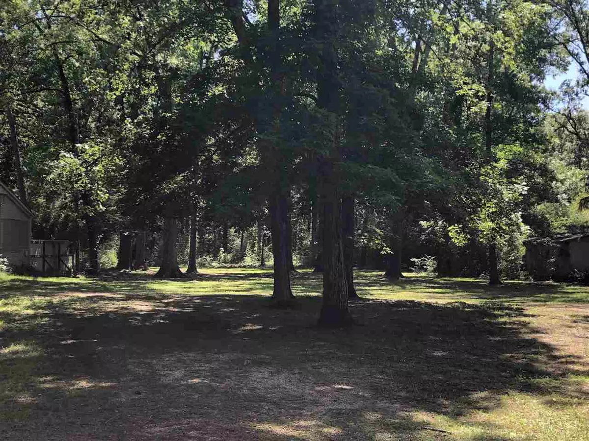 Forest, MS 39074,710 Hillsboro Street #10