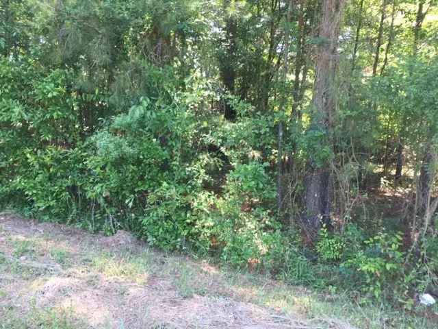 0 Utica Institute Road ##1, Utica, MS 39175