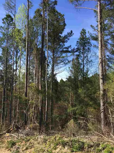 Seymour Road, Kilmichael, MS 38967