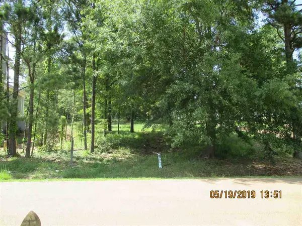 Madison, MS 39110,140 Old Trace Road #Lot 59