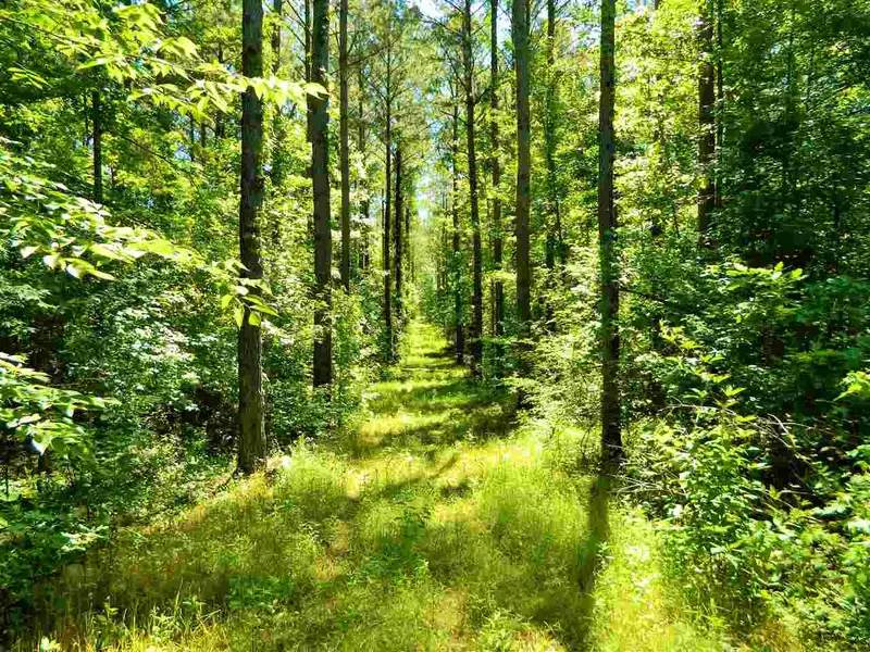 0 Sutherland, Camden, MS 39045