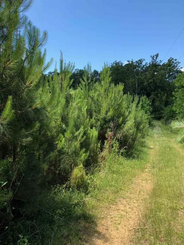 Forest, MS 39074,220 Pea Ridge Road