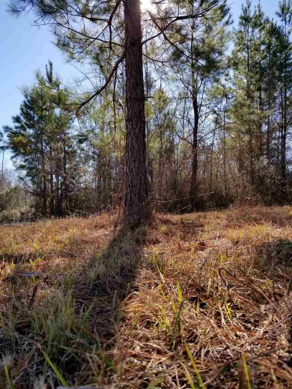 Brandon, MS 39042,119 Breckenridge Drive #LOT 4