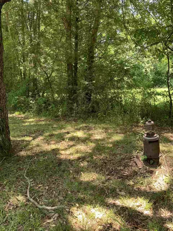 New Albany, MS 38652,1009 State Highway 348