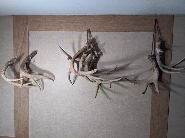 Roxie, MS 39661,542 John Nelson Lane