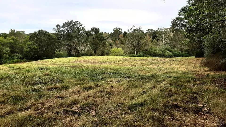 10500 Road, Philadelphia, MS 39350