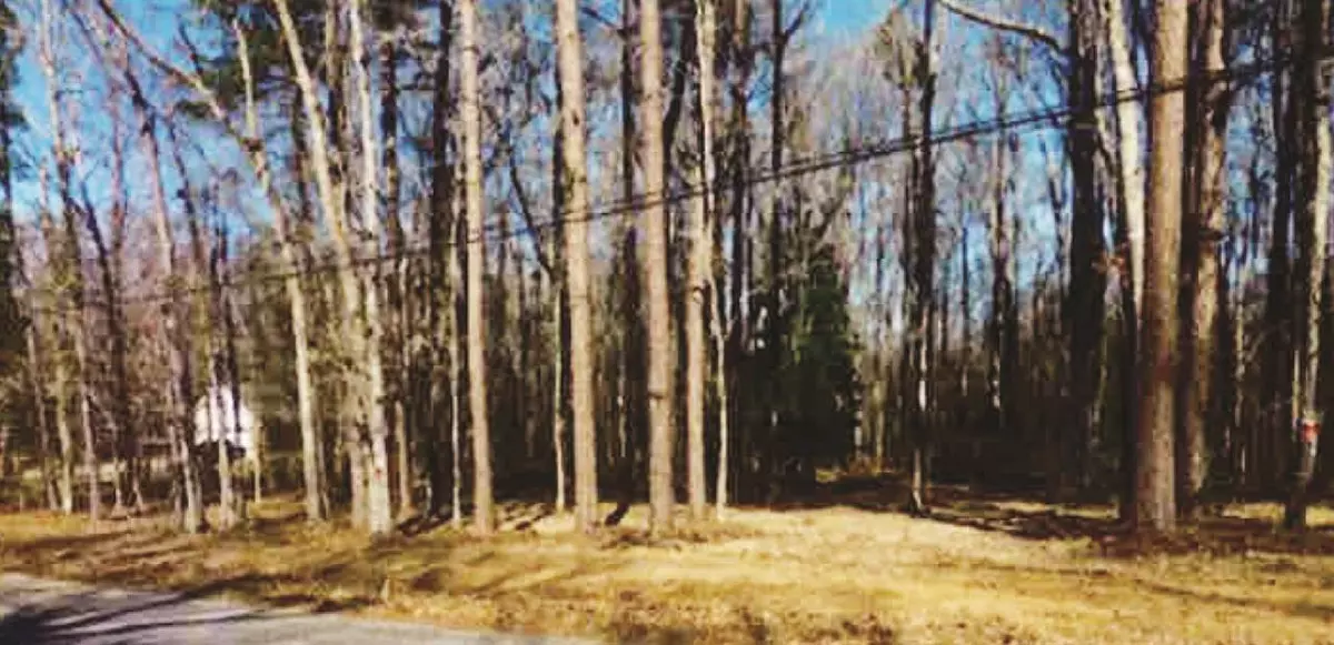 Terry, MS 39170,0 Pine Lake Drive #Lot 21