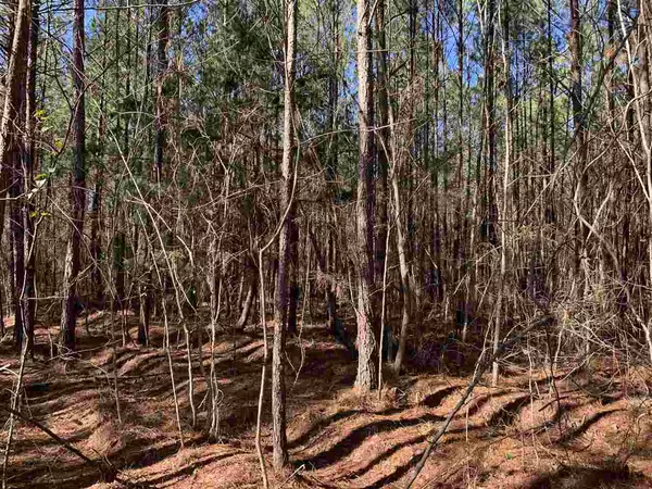 Lake, MS 39092,0 Sun Tower Road