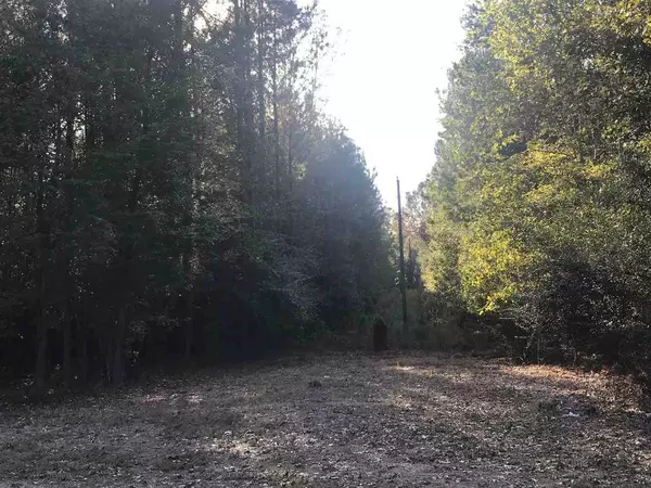 Hermanville, MS 39086,0 Warren Hood Road