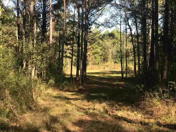 0 Warren Hood Road, Hermanville, MS 39086