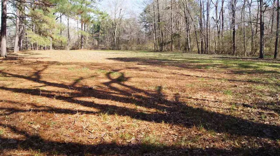 0 Mattie Drive #0, Canton, MS 39046