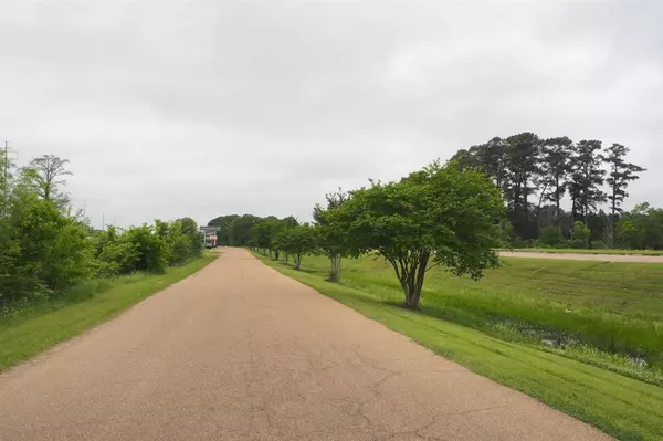 Pearl, MS 39208,0 Legacy Park #Lot 1