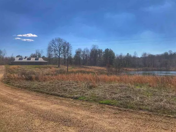 290 Abigail Lane, Bentonia, MS 39040