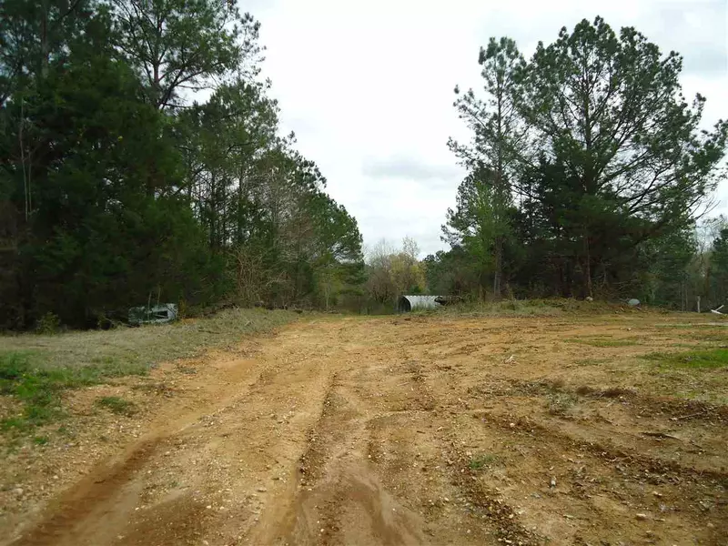 0 Burt Loop Road, Crystal Springs, MS 39059