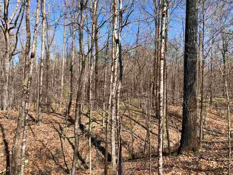 0 Dixon Road, Grenada, MS 38901