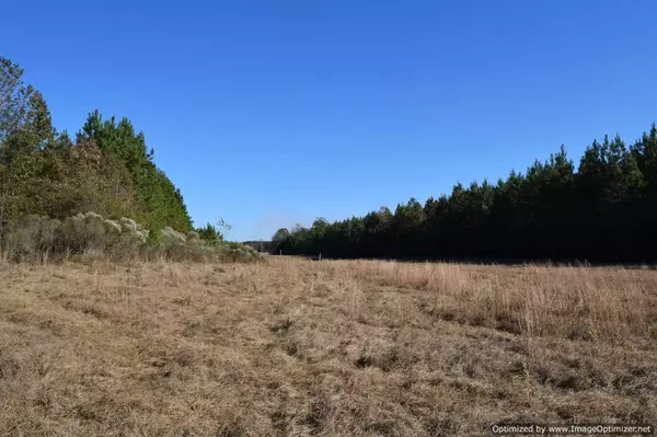 Heidelberg, MS 39439,0 Highway 528 Highway