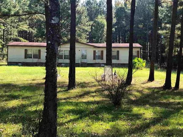 254 Old Highway 35, Forest, MS 39074