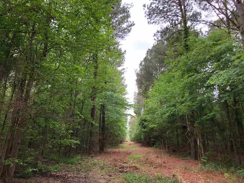 0 Truitt Road, Camden, MS 39045