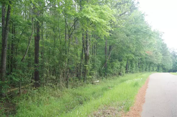 Canton, MS 39046,0 Holmes Hollow Lane #0