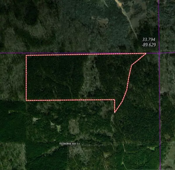 Gore Springs, MS 38929,0 S Creek Road