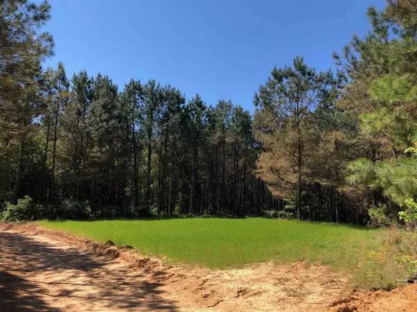 0 S Creek Road, Gore Springs, MS 38929