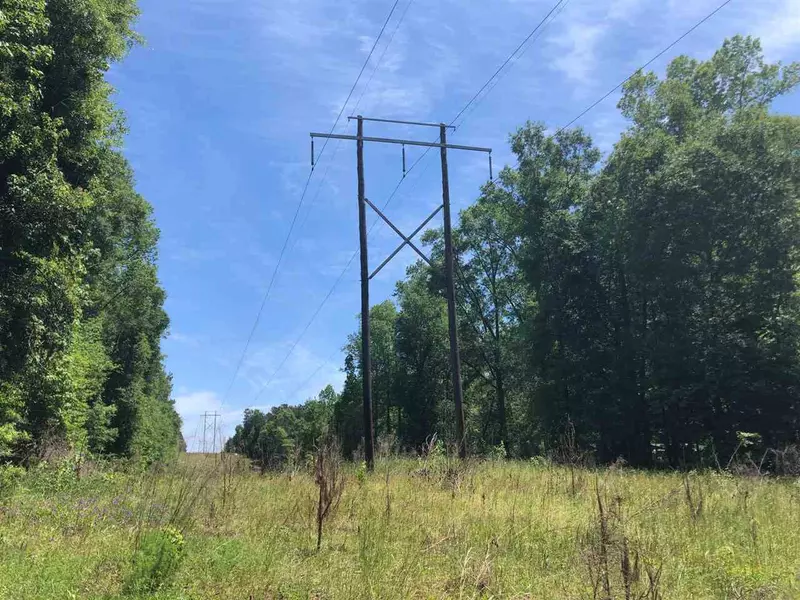 0 Scr 114, Raleigh, MS 39153