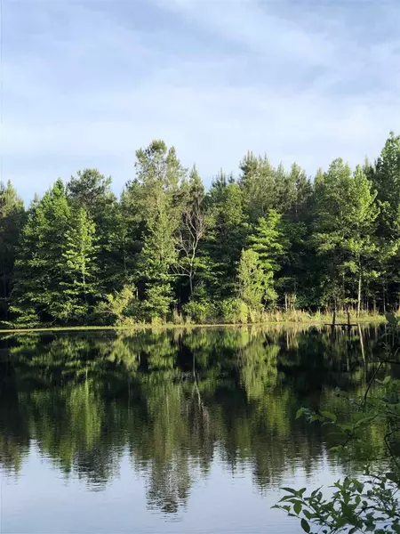 1 Highway 13 Highway #01, Morton, MS 39117