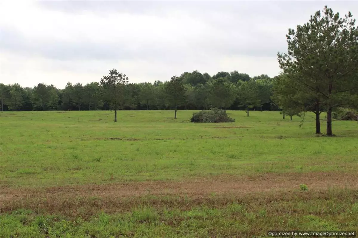 Flora, MS 39071,625 Petrified Forest Road #1