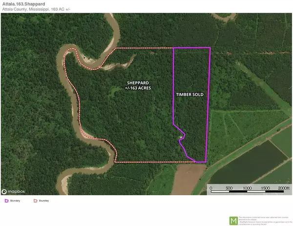 0 Attala County Road 4, Sallis, MS 39160