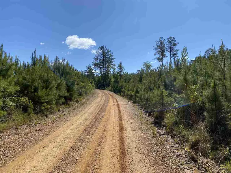 0 Rome Road, Kosciusko, MS 39090