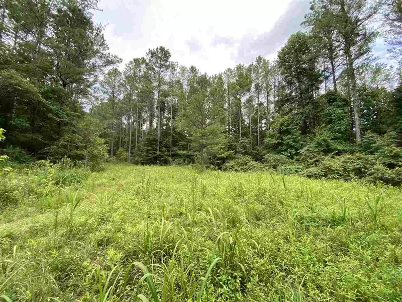 0 County Road 260, Bruce, MS 38915