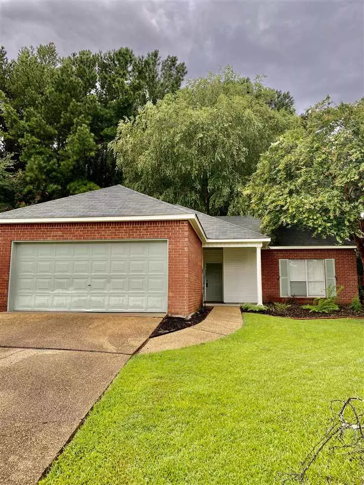 Brandon, MS 39047,170 Chesapeake Avenue