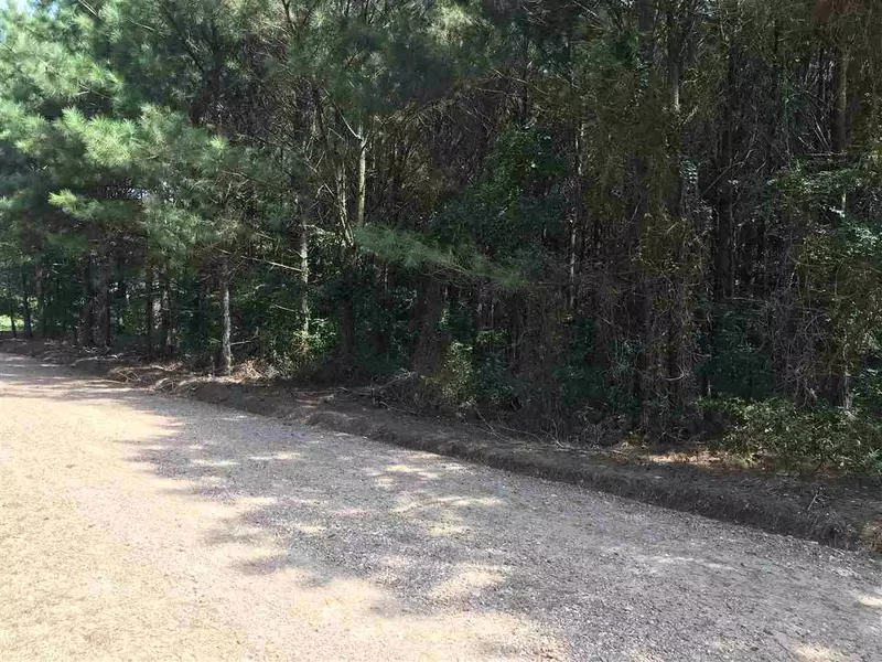 0 Attala County Road 1 #01, Kosciusko, MS 39090