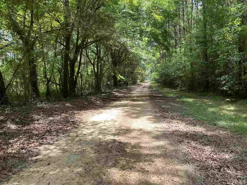 5136 Bowling Green Road, Lexington, MS 39095