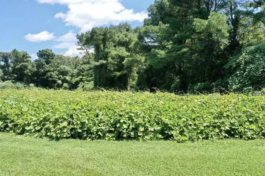 0 Cr 361, Oxford, MS 38655