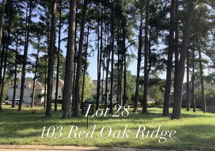 Brandon, MS 39047,103 Red Oak Ridge #28