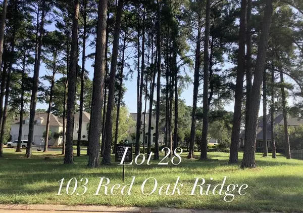 103 Red Oak Ridge #28, Brandon, MS 39047