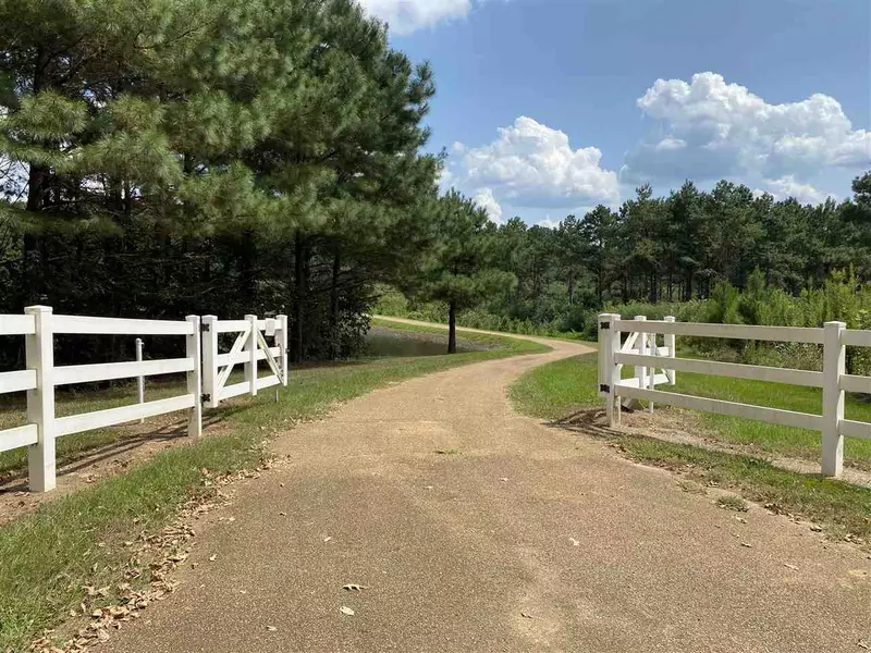 0 Neshoba County Road, Philadelphia, MS 39350
