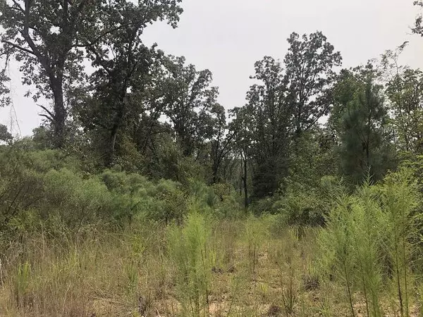 West, MS 39192,0 County Road