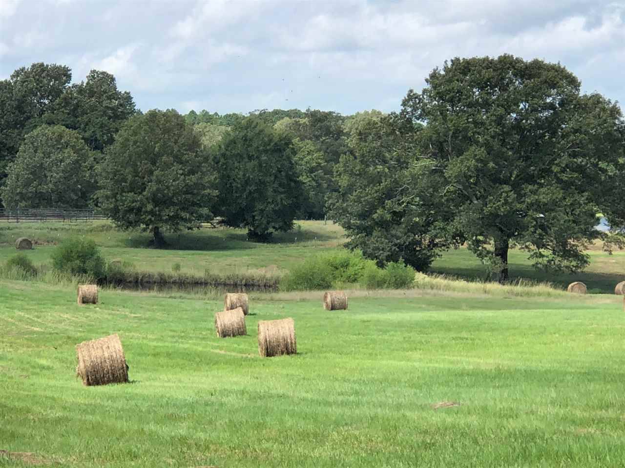 Flora, MS 39071,0 Cedar Hill Road #PARCEL 8