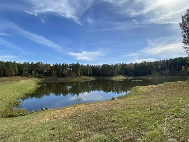 0 Cox Ferry Road, Bolton, MS 39041