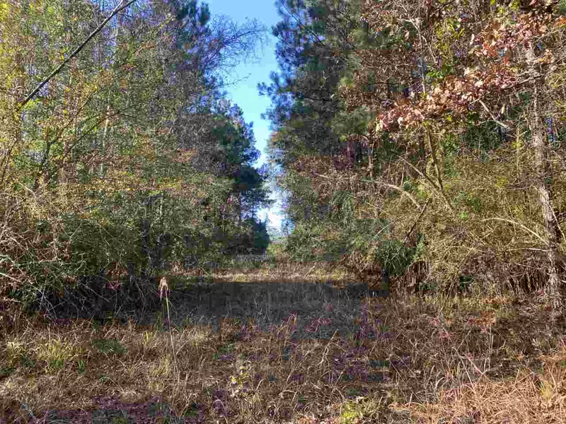 0 Athens Road, Mendenhall, MS 39114