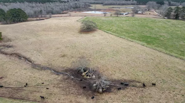 Mendenhall, MS 39114,0 Kiley Bailey Road #Parcel 8